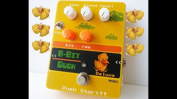 LDP 8-bit Duck Deluxe ANALOG BIT CRUSHER?!