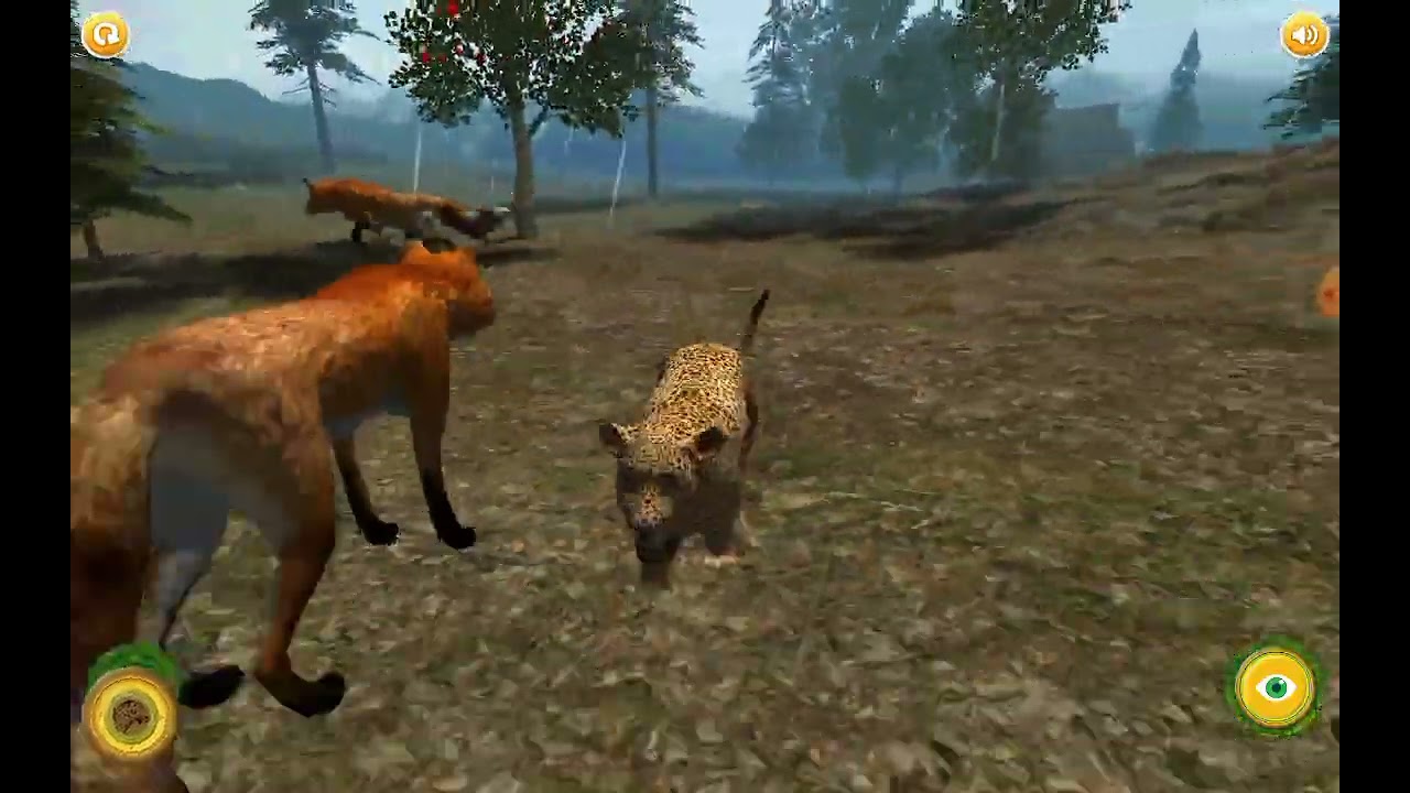 Real Cheetah Cub Simulator pt 2 2015 4