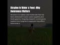 Atrazine in the Water Affects Hormones