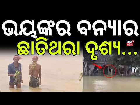 ବନ୍ୟାର ଛାତିଥର ଦୃଶ୍ୟ ? Flood in Sundargarh | Samij Nala | Flood News  | Weather Update| Odia News