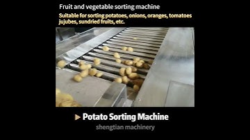 ST-FS2 Potato Sorting Machine
