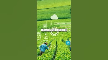 The Journey of Chainlink