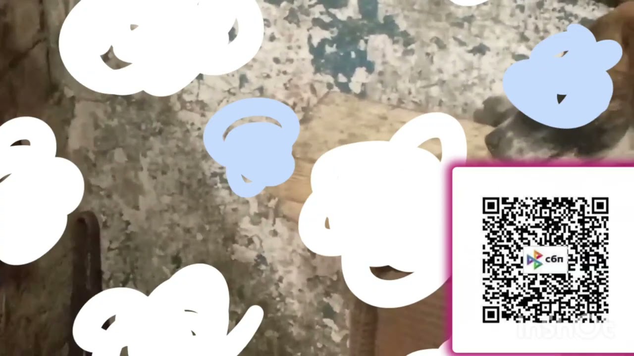 Горловка. Собаки на грани выживания. Нужна еда. Спасите нас