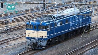 【国鉄特急色 電気機関車 EF64 EF65】E217系廃車改装を終えたEF64 1031と大蛇のように曲がって下るEF65 2080 貨物列車 大宮操車場【乗り物 車両 電車 図鑑】2024.3