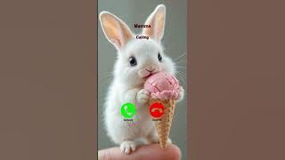 Rabbit calling 🐰 🐰 🐰#forkids #ringtone #babytoons #viralvideo #cartoon #funny #shortvideo