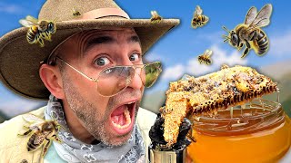 Insane Urban Beehive Extraction  You Won't Believe This!