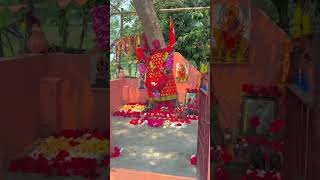 Maa mangala loo 🙏🙏#odiashorts #odiabhajan #sorts