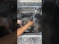 El secreto de las empleadas domésticas para que tus ollas y fregadero brillen como un espejo #shorts
