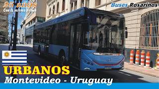 MONTEVIDEO - OMNIBUS URBANOS ELECTRICOS Y GASOIL / BUSES ROSARINOS EN URUGUAY