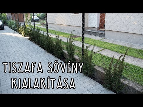 Videó: Élő Kerítés Tiszafa, Boróka, Ciprus