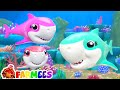 Laughing Baby Shark Song | Daddy Shark | Mommy Shark - Nursery Rhymes & Kids Songs | Farmees