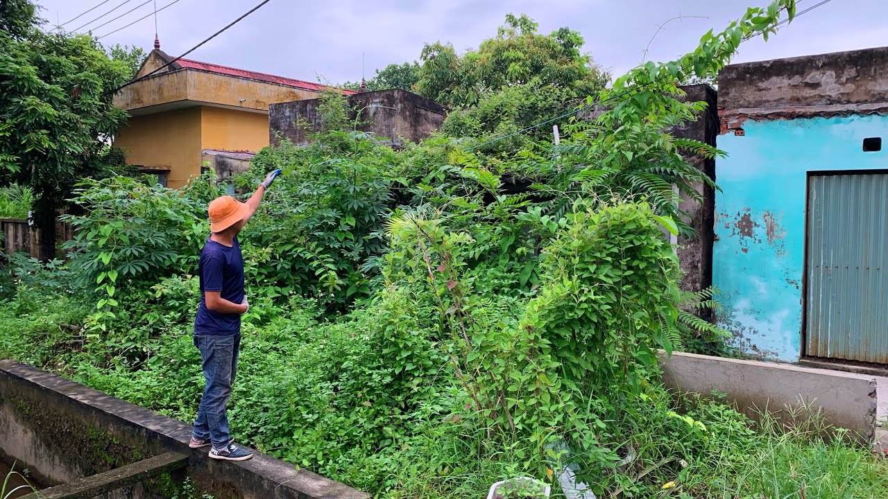 Super beautiful transformation of an abandoned house with overgrown