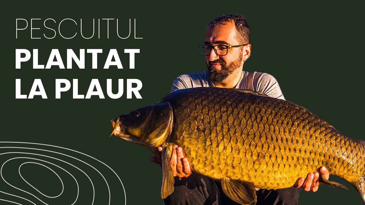 Elemente esentiale in pescuitul plantat la plaur - Dr. Gorgan, Tancabesti