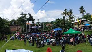 Brewok Gemparkan Warga Trenggalek