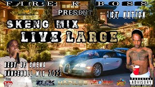 Skeng Mix 2022 / Skeng Dancehall Mix 2022 / Live Large / Skeng Mix  2022 / Best Of Skeng music 2022