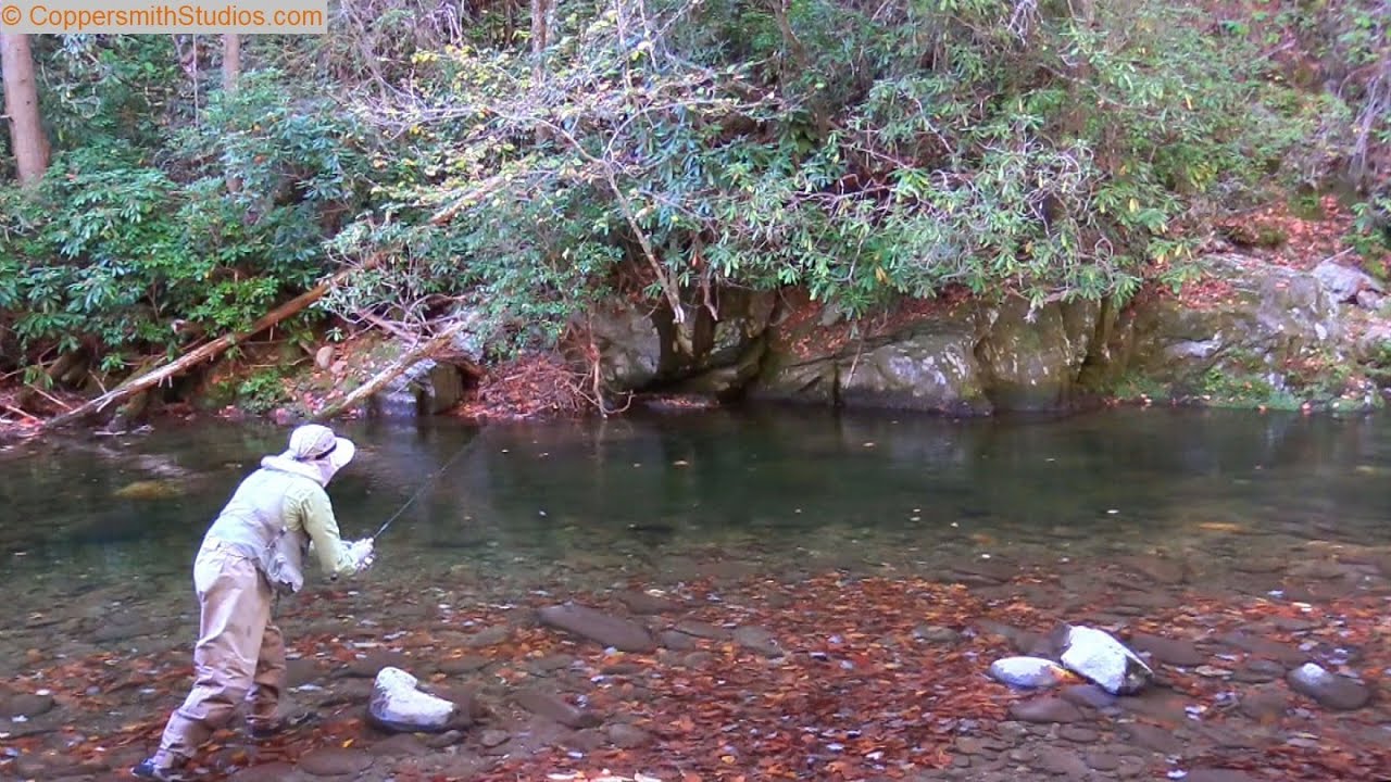 Fishing Deep Creek in GSMNP, NC YouTube