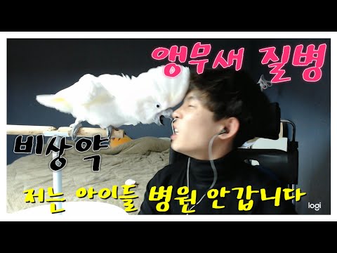 앵무새 감기, <strong>설사</strong>, 상처염증, 조는아이, 탈진 대처법