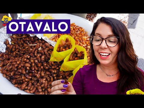 Snails, Beetles + the Best Hornado in OTAVALO Imbabura | Ecuador 2022
