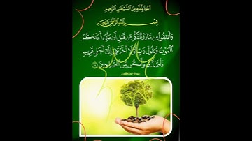 سورة المنافقون الآية ( 10 )