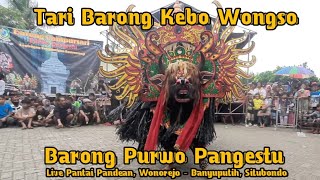 Barong Kebo Wongso | Barong Purwo Pangestu live Pantai Pandean, Wonorejo, Banyuputih - Situbondo