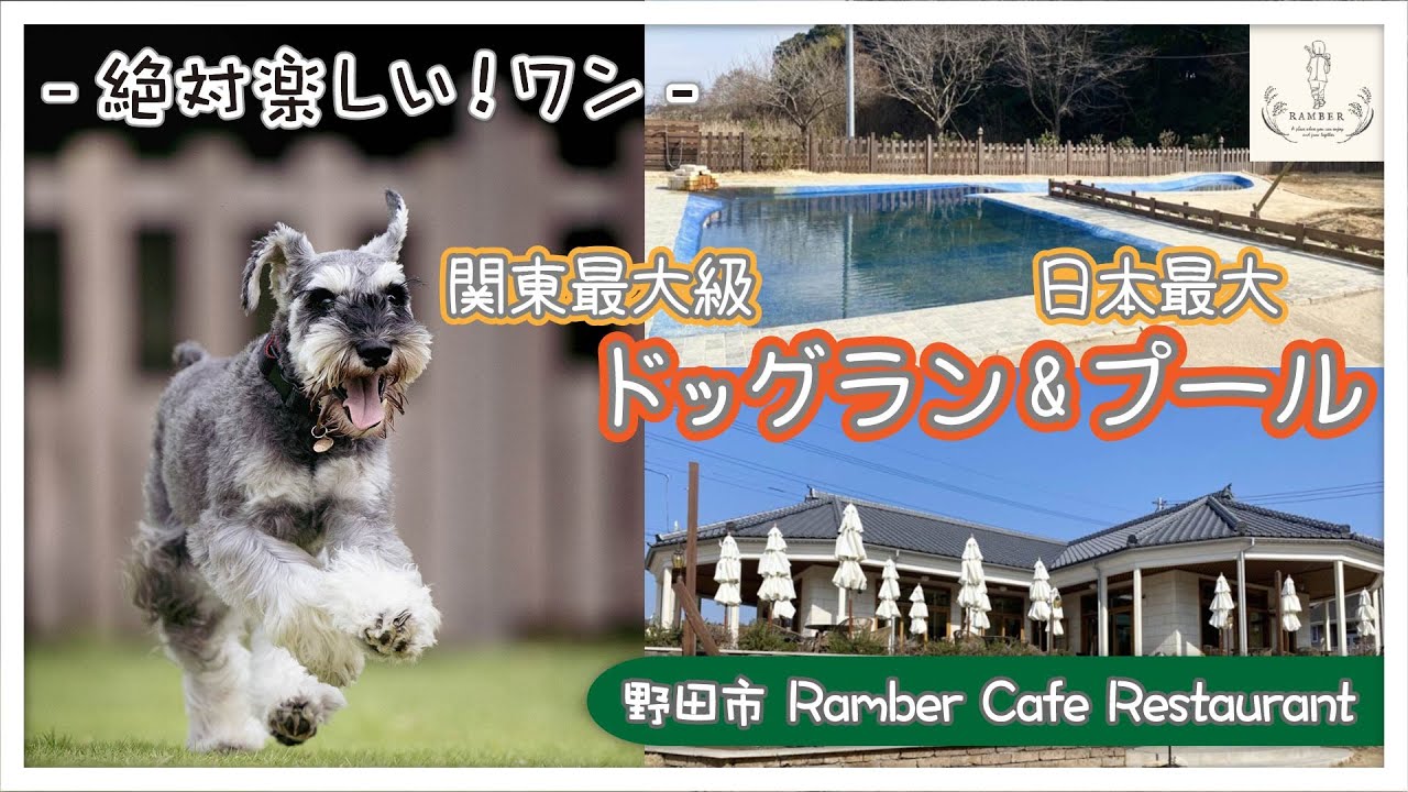 【ワンちゃん同伴】関東最大級ドッグラン＆⁬日本最大のドッグプール・ランバードッグフィールドに併設の「ランバーカフェレストラン」【千葉県・野田市】-RABER DOG FIELD-