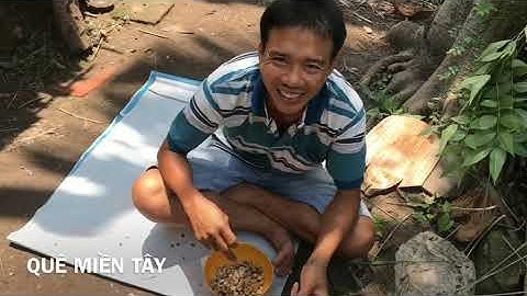 GỎI ỐC GẠO BẮP CHUỐI | tập 17