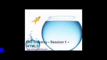 SAP UI5 WITH FIORI DEMO VIDEO