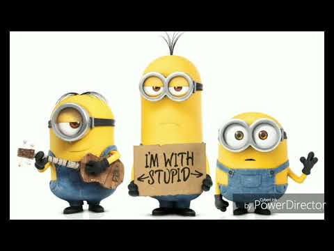 汪蘇瀧-追光者   Minions版