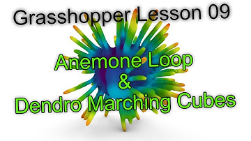 CAD4 - Scripting: LS2020 Lesson 09: Anemone Loop & Dendro Maching Cubes