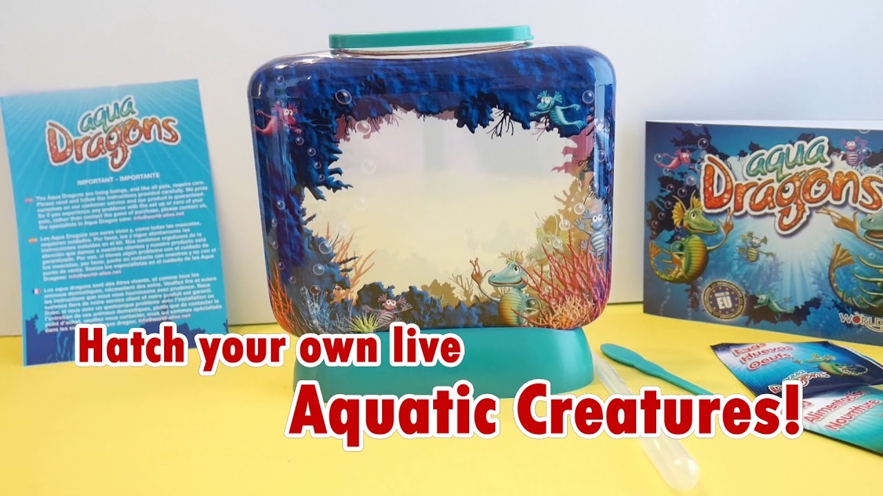 NEW & SEALED! USE WITH OWN CONTAINER OR AS REFILL AQUA DRAGONS BY BRAINSTORM 
