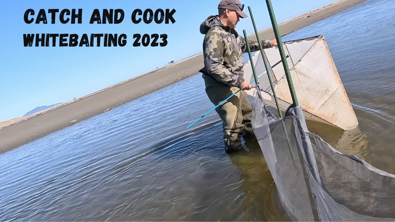 CATCH AND COOK  WHITEBAITING 2023 