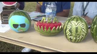 Watermelon Bust 2021 LXA