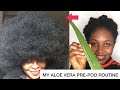 HOW TO: Aloe Vera Pre-Poo Routine  For Fast Hair Growth