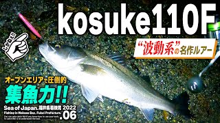 【ima コスケ110F】圧倒的な集魚力！シーバス界の控えめな“波動系”名作ルアー【インプレ】