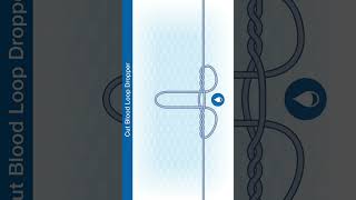 #Shorts How To Tie The Cut Blood Loop Dropper Knot
