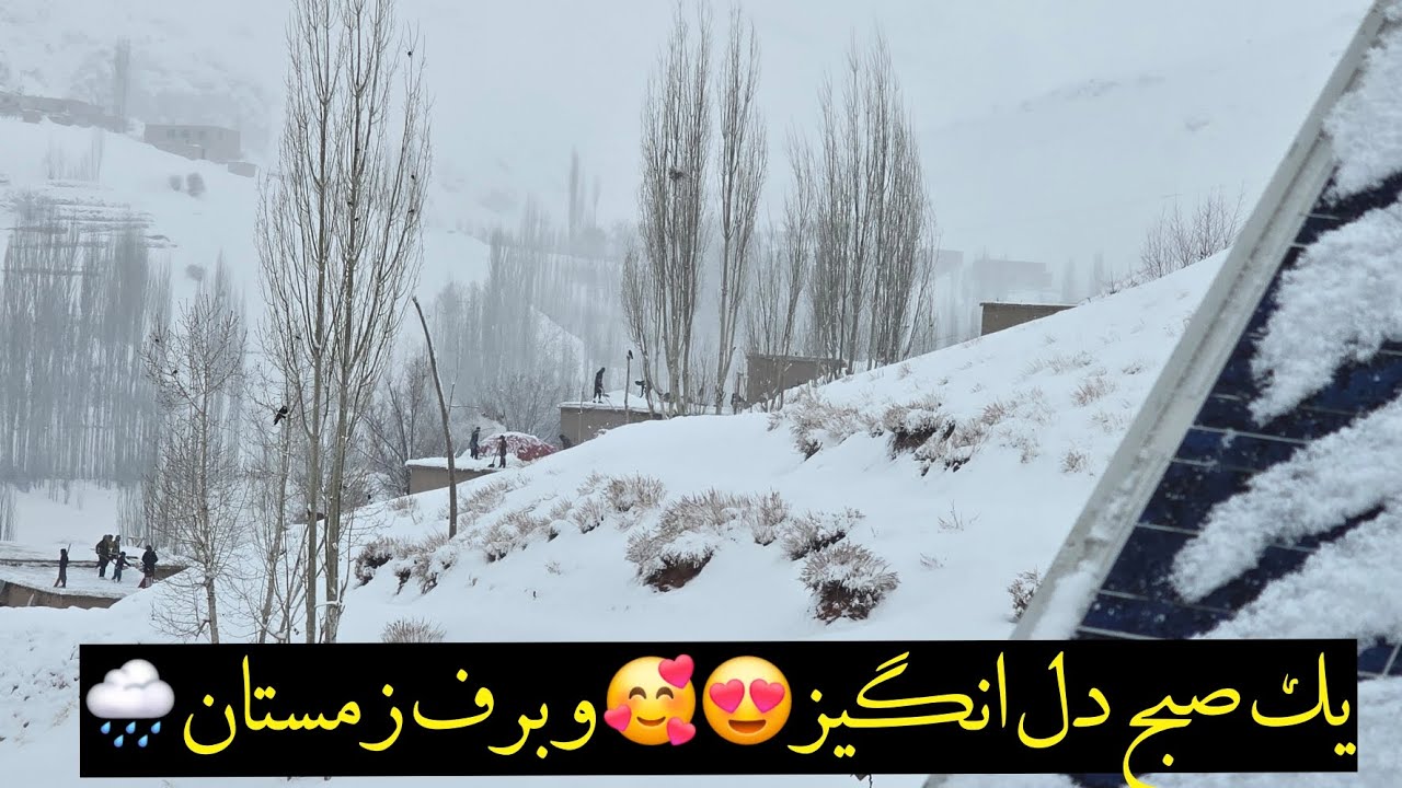 برف پاکی مردم منطقه پای جلگه و صحبت در مورد مشکلات زمستان یک فضای عالی وزیبا لباس سفید طبیعت. #لایک 