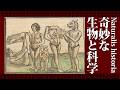 『ハチミツの原料は空気？』古代ローマ人の奇妙な生物と科学