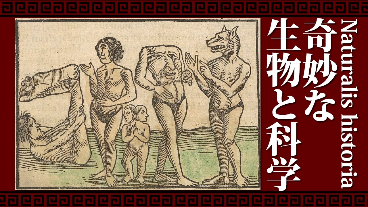 『ハチミツの原料は空気？』古代ローマ人の奇妙な生物と科学