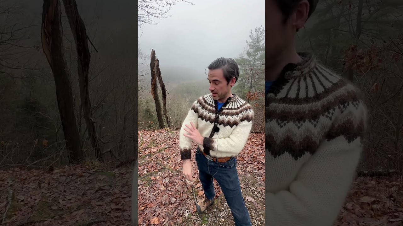 Ring vs. Arm Ring in Old Norse