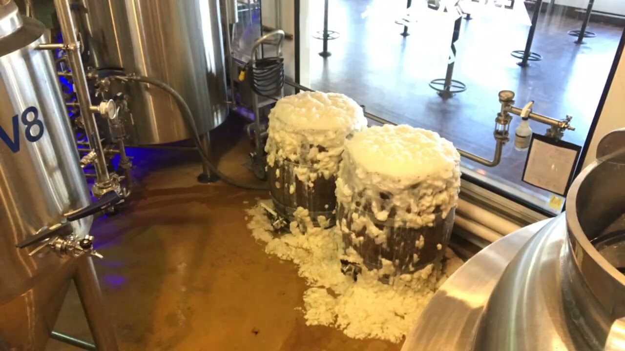 Saison Open fermentation Time lapse Dec 31