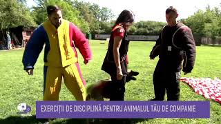 Demonstrație Mondioring la Ringstar Club dresaj canin | Monden Matinal Metropola TV
