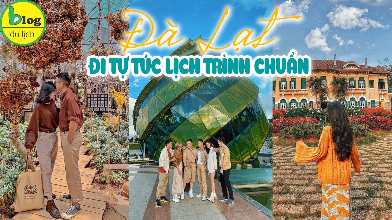 Cẩm nang du lịch Đà Lạt tự túc chi tiết nhất 2022 - youtube