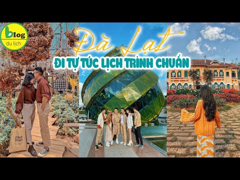 Video Cẩm nang du lịch Đà Lạt tự túc chi tiết nhất 2022 - youtube