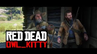 Red Dead Redemption 2: Starring My Cat Owlkitty