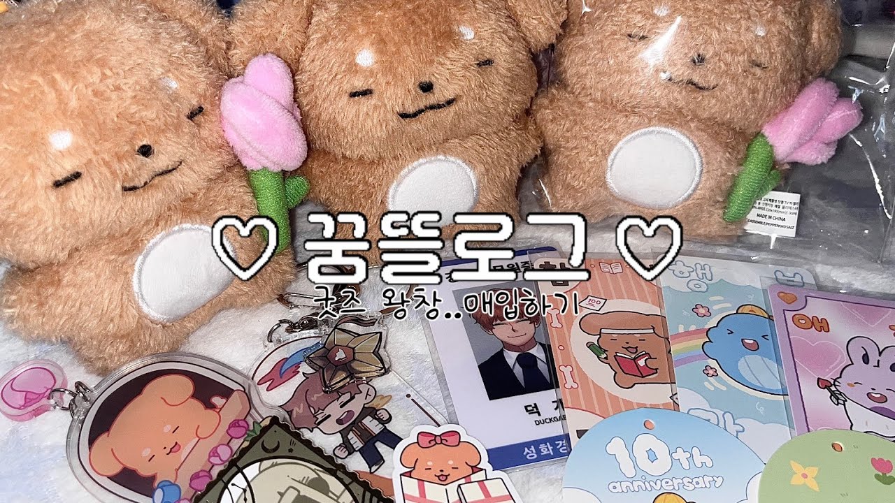 [ 꿈뜰로그 #1 ] 𐄹 이게 1달만에 다 산거라면 믿겨지시나요 ,,? • 잠뜰 • 꿈뜰이 • 덕개 •픽셀리 • 봄굿즈깡 • 팝업깡