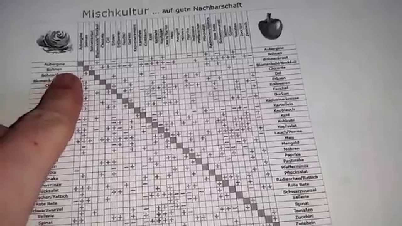 Gemüsegarten planen - YouTube