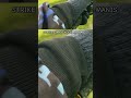 STRIKE GABUS KOCOLAN MANIS #castinggabusumpansoftfrog #mancingharuan #fishingvideo #jtofishing