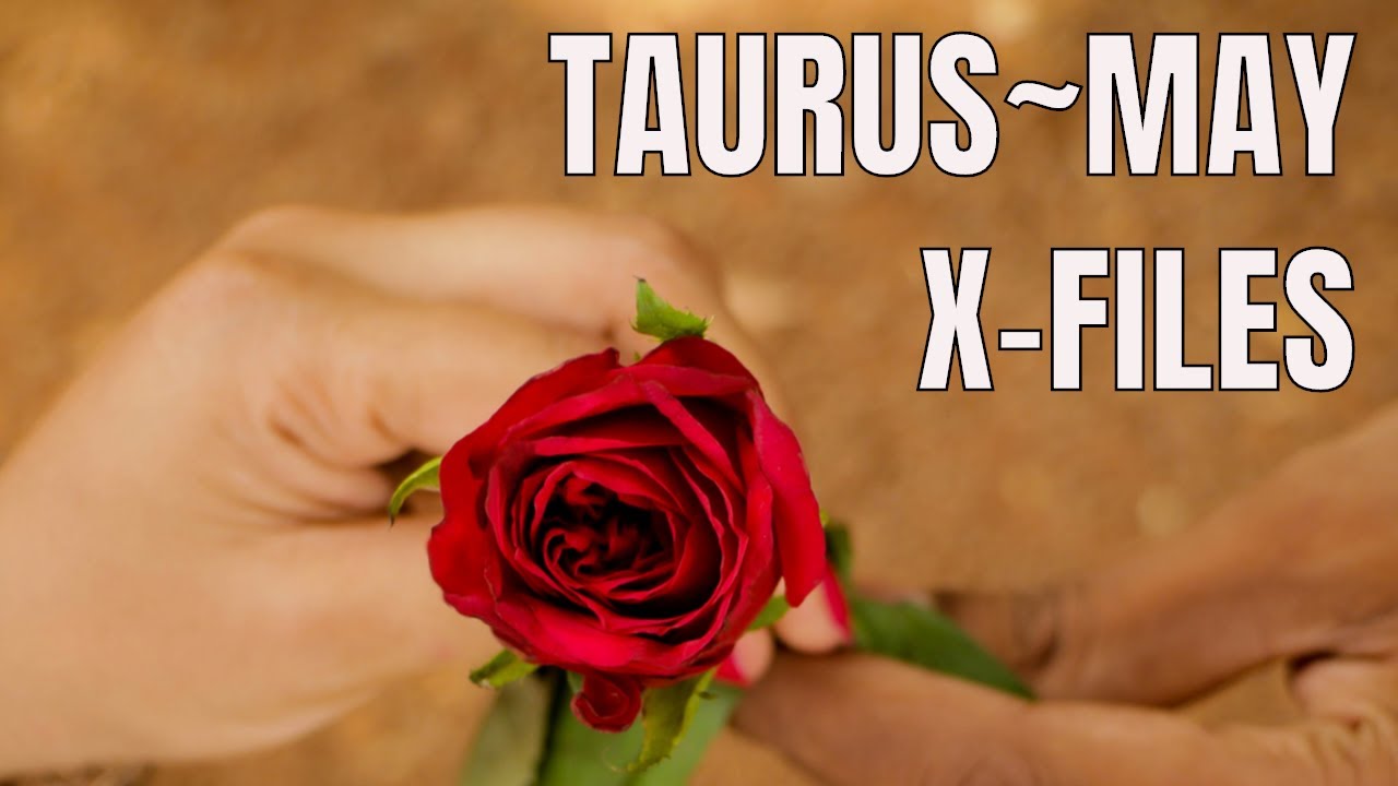 TAURUS~A STUBBORN LOVER MAKES A STUNNING ADMISSION~MYSTERY SOLVED!