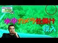 【水中映像】水中カメラ仕掛けで実際に釣りしてみました！