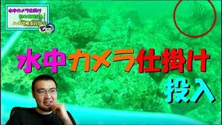 【水中映像】水中カメラ仕掛けで実際に釣りしてみました！